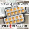 Para Qué Se Utiliza La Gelatina Kamagra levitra2